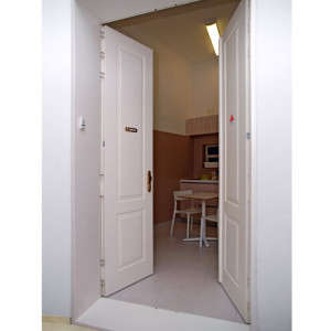 ADLO - Security door TEDUO, double-winged, panel design KV-1 101, dimensions 250cm x 140cm