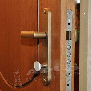 ADLO - security door TESIM, profile Veneer F151 detail, noise-proof