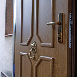 ADLO - Security Termo door ADUO, slat LB 420, surface Geta 173, doorknocker Lion