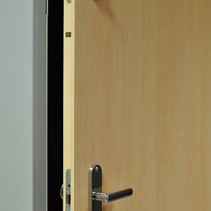 ADLO - Security Door TEDUO, apartment entrance, security door guard, surface Birch
