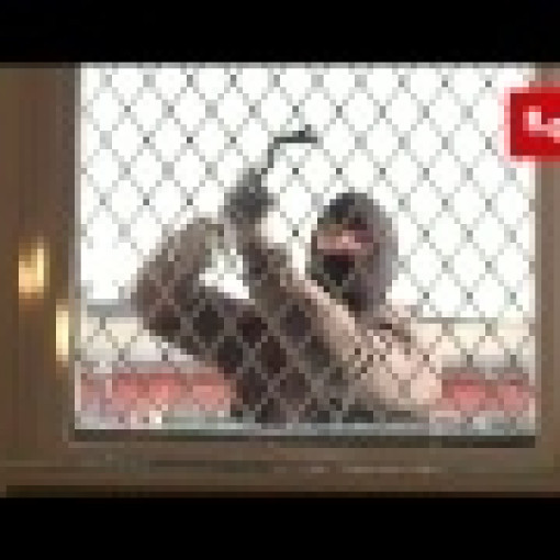 Glass ADLO skylight with security grate Glass ADLO skylight with security grate