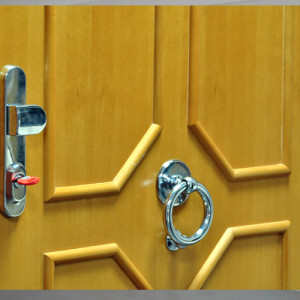 ADLO - Security Door TESIM, Slat LB 420, entrance door with a door-knocker