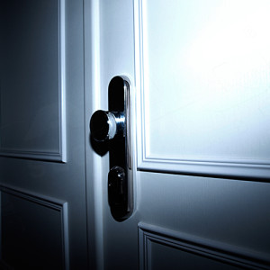 ADLO - Security door TEDUO, Slat, double-wing, fireproof