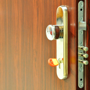 ADLO - Security Door LISTEO, door surface Plastic foil DL 05