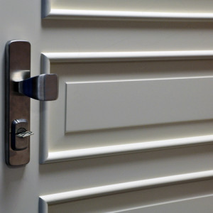 ADLO - Security Door ADUO, panel, KN 250, apartment entrance, surface Color RAL