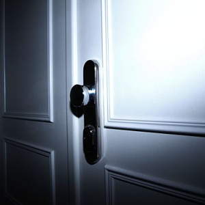 ADLO - Security door TEDUO, Slat, double-wing, fireproof