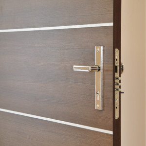 ADLO - Security door Teduo, atypical surface on demand, apartment entrance