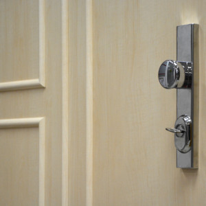 ADLO - Security door KASTO, slat LB atyp, rounded slats, security fitting Chrome rustless glossy, doorknob