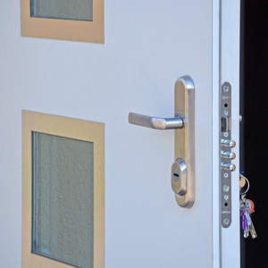 ADLO - Security Termo door ZENEX, armor-style Termo triple-pane glass, security fitting Dekor