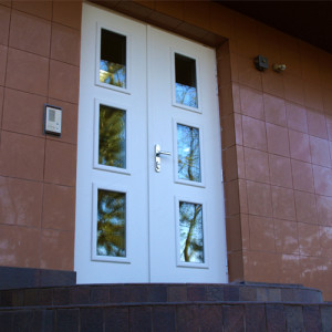 ADLO � exterior Termo double-wing door TEDUO, glass, armour-style Termo triple-pane glass P202