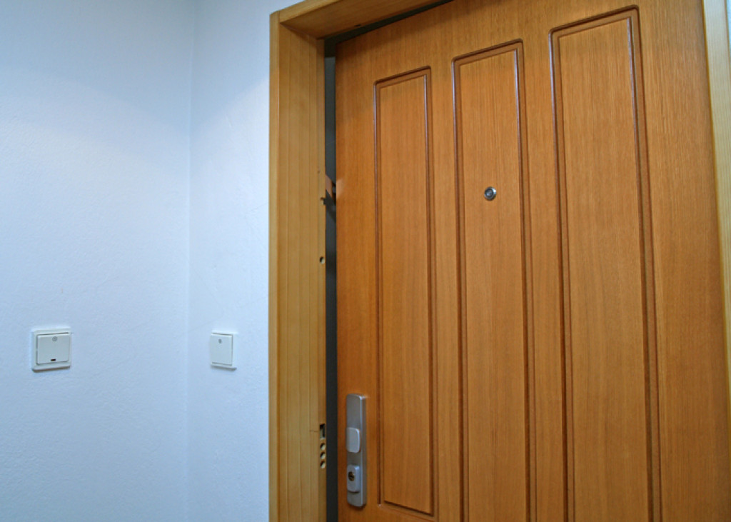 Security door Aduo, profile veneer oak design