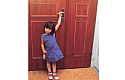 ADLO – Security door TEDUO, slat design LR250, double-wing