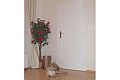 ADLO - Security door TEDUO, profile Color F152, for the exterior, noise-proof