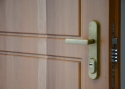 ADLO - security door TEDUO, profile F 200, door surface double-sided natural Massif