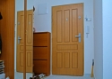 ADLO - Security door Aduo, profile design F320 Veneer OAK, door security guard