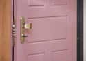 ADLO - Exterior Termo door TEDUO, profile design F251, door surface RAL 3015, for an apartment