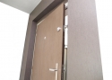 ADLO - Security door TEDUO, door surface Woodline Mocca, security door guard Lara glossy chrome