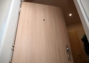 ADLO - security door ADUO, door surface H1298 sand ash, apartment entrance door
