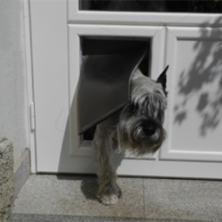 Pet Doors