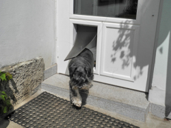 Example of implementing a door within a door for a pet
